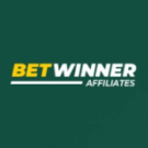 Betwinner partners