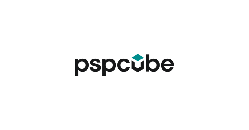 PSPCUBE delivers specialized payment provider